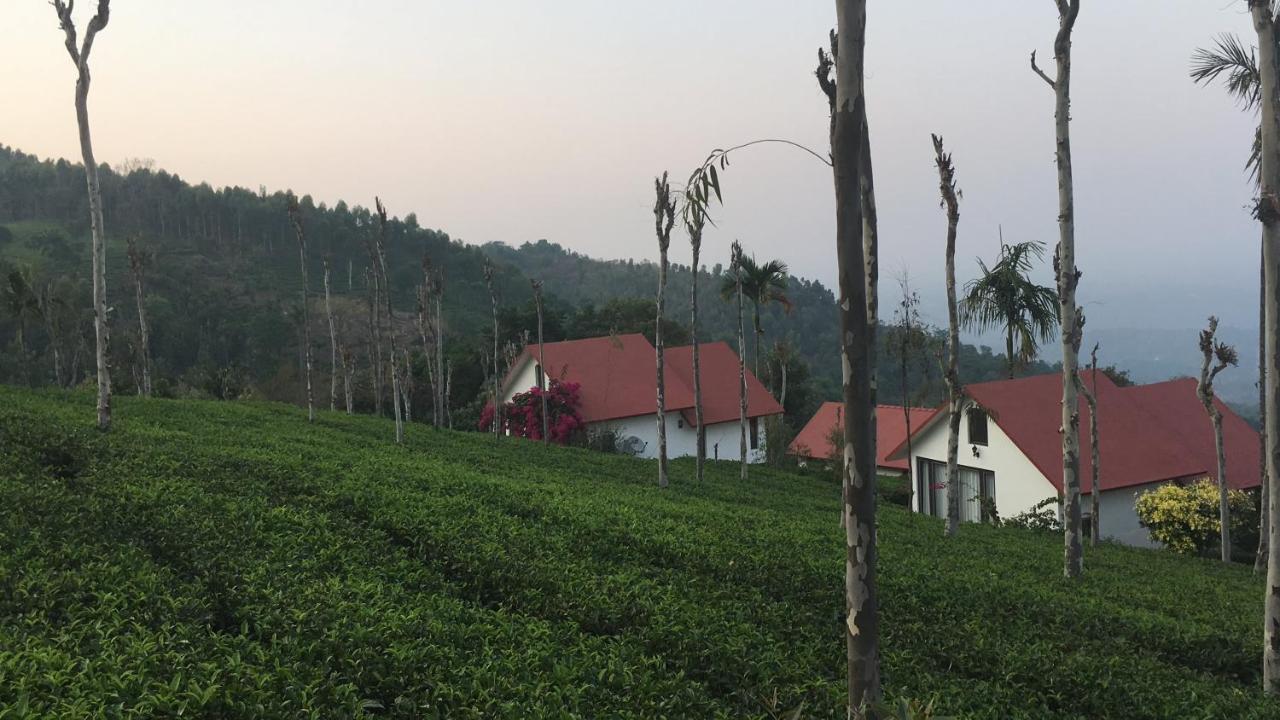 Tea Terrace Vythiri Hotel Wayanad Exterior foto
