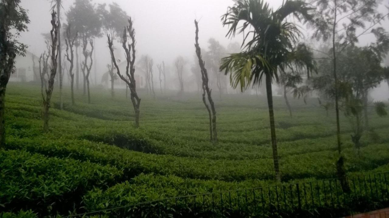 Tea Terrace Vythiri Hotel Wayanad Exterior foto