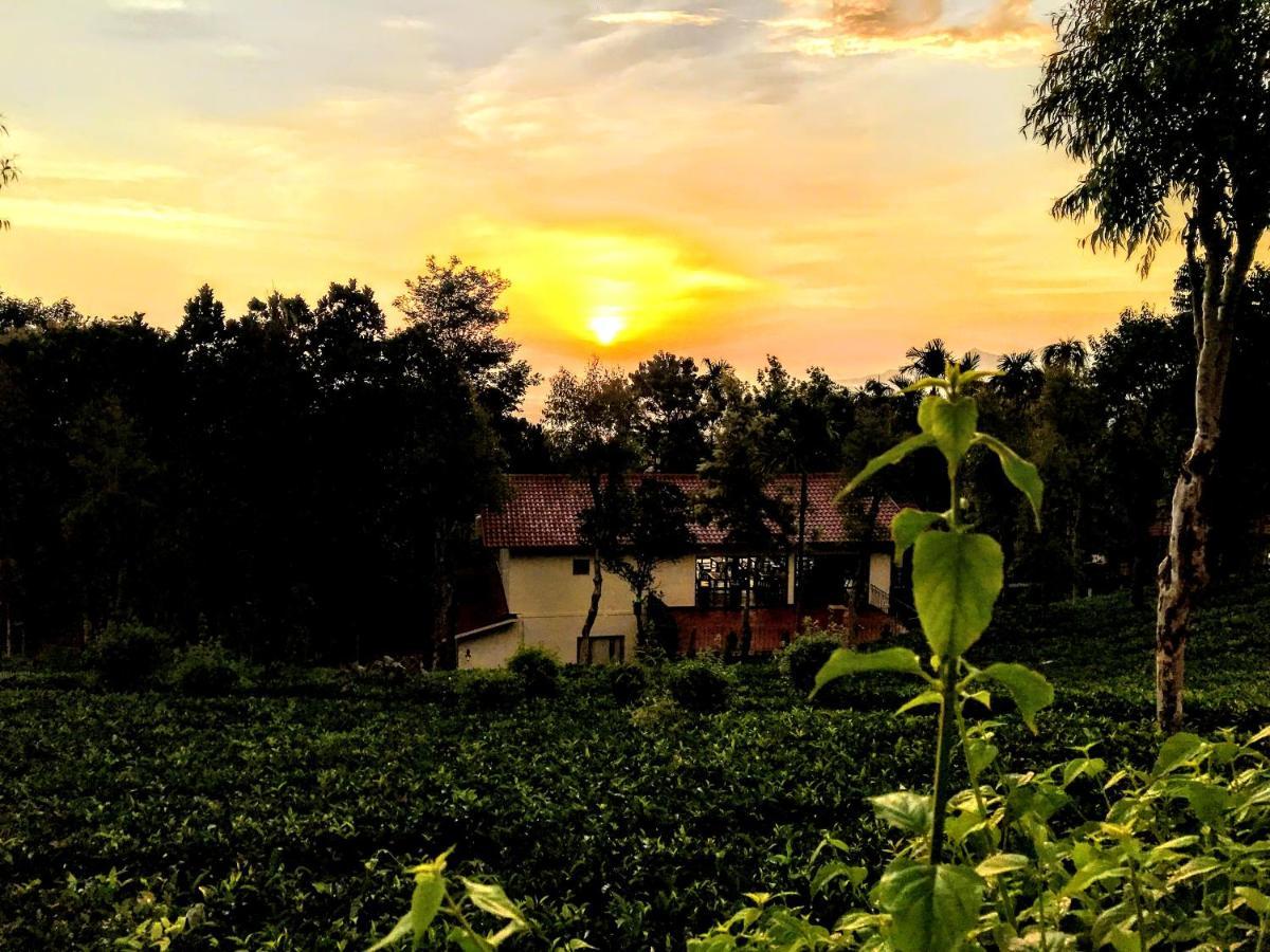 Tea Terrace Vythiri Hotel Wayanad Exterior foto